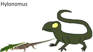 Reptiles size comparison without music