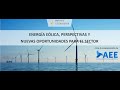 Energía Eólica, perspectivas y nuevas oportunidades para el sector