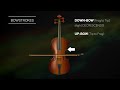 Samplemodeling Strings - Tutorial n.4 (Bow-strokes & Detaché)