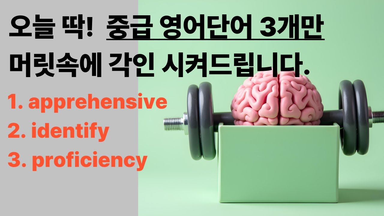 중급 영단어 3개만, 머릿속에 확실히 각인시켜 드립니다 |  apprehensive, identify, proficiency