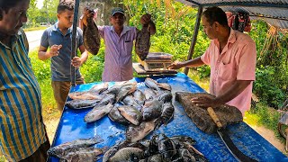 Sri Lanka Famous Fish Cutting Place Rohu Tilapia Excellent Fish Cutting With Sharp Knife