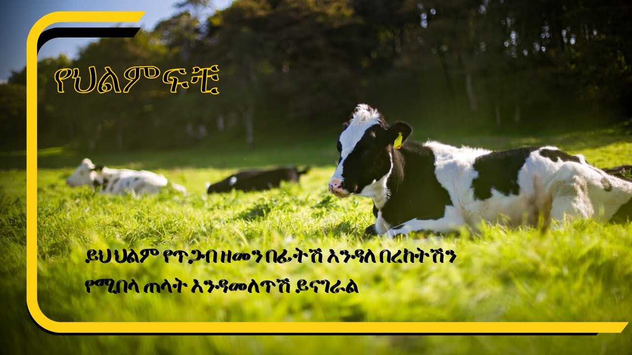 ይህ ህልም የጥጋብ ዘመን በፊትሽ እንዳለ በረከትሽን የሚበላ ጠላት እንዳመለጥሽ ይናገራል