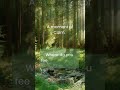 Searching for Tranquility? #Ocean #Forest #Nature #Meditation #Breathwork