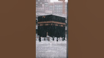 تلاوة خاشعة { أسعد بها روحك وقلبك } ثواني من وقتك أجر لك ولي🌺 🍃