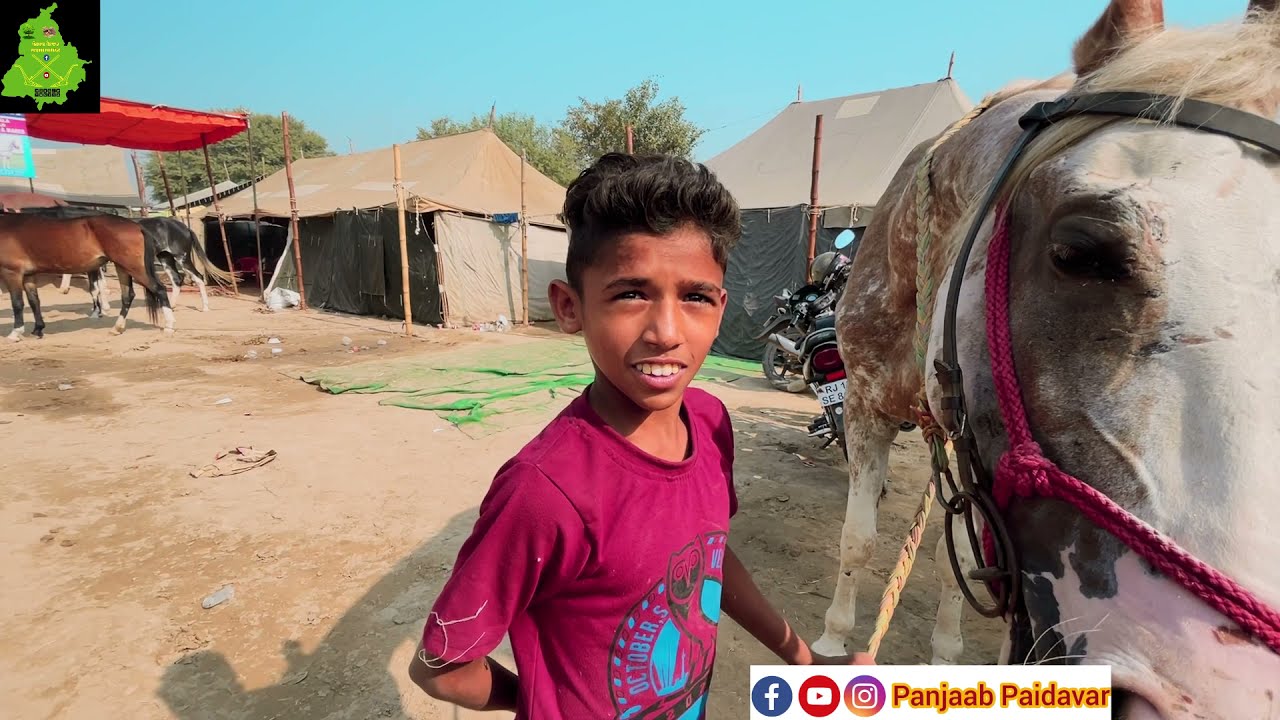संदीप कुमार उमर 9-10 साल शौंक वा जानूं घोड़े घोड़ी पे स्टंट करने का। Little Child stunt on Horse