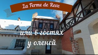 LA FERME de REVE ИЛИ В ГОСТЯХ У ОЛЕНЕЙ во Французском Замке.