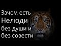 По негативной программе живут люди  без души или без совести