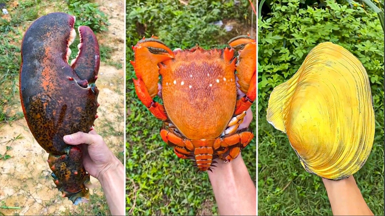 1 Đồng Mua Được Gì? P3 | Tik Tok Ẩm Thực Trung Quốc