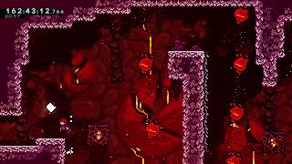 Celeste Chapter 8A: Core Ice Skip Net Worth