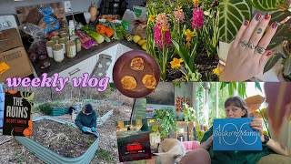 getting out in the garden, grocery haul, + mental health chats 🖤🫜📚