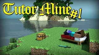 Tutor Mine#1 - 1 день/Начало