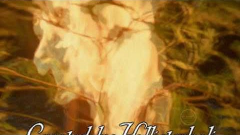 H2O Production Sign Request