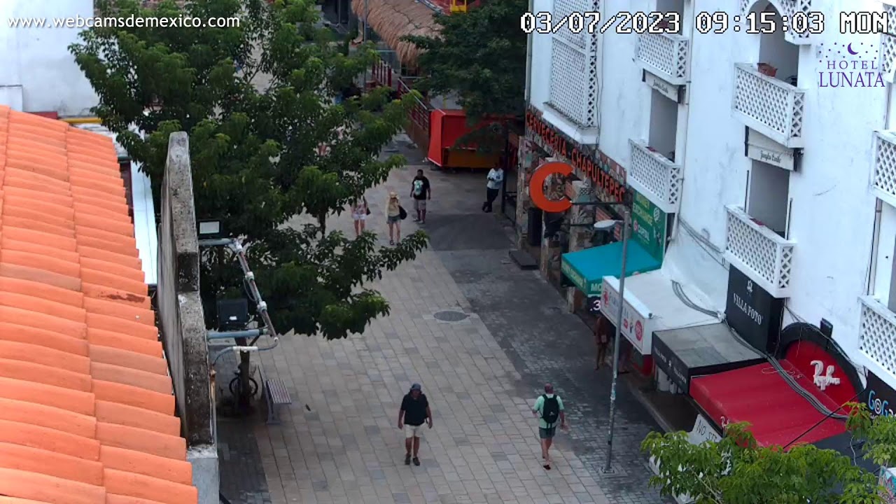 Playa del Carmen en vivo Quintana Roo Quinta Avenida #live
