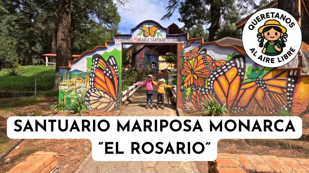 acampando-en-el-santuario-de-la-mariposa-monarca-el-rosario-ocampo