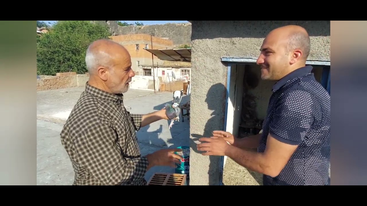 Diyarbakır Taklaci Pirlerlerinden #Sofi Hüseyin  Abimizin Süper kaliteli kuşlarını aldık 🤌