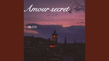 Amour Secret