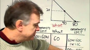 Absolute and Comparative Advantage