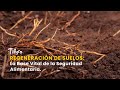 Regeneración de Suelos: La Base Vital de la Seguridad Alimentaria - TvAgro por Juan Gonzalo Angel