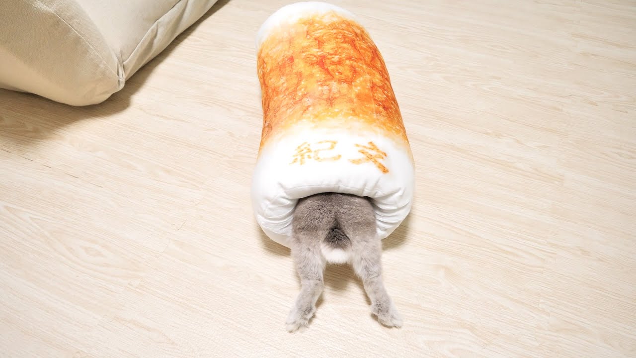 ２か月待ちのふわふわモチモチちくわクッションが届いてからうさぎさんがずっとこの状態