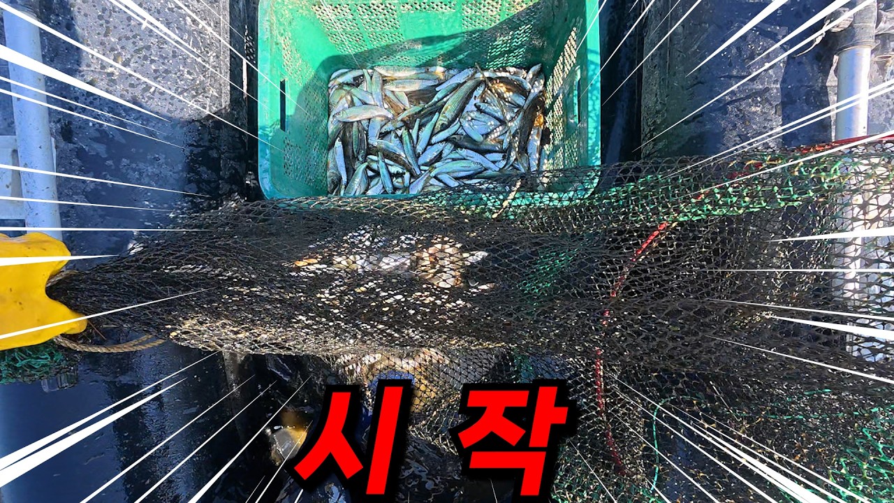 힘들었던 겨울이 지나고 민물고기의 계절이 왔습니다! 계속 터지네요!ㄷㄷ