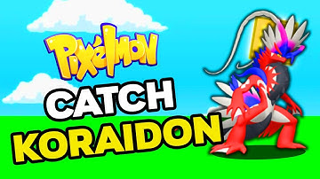 How to Find KORAIDON in PIXELMON Reforged 9.1.13!