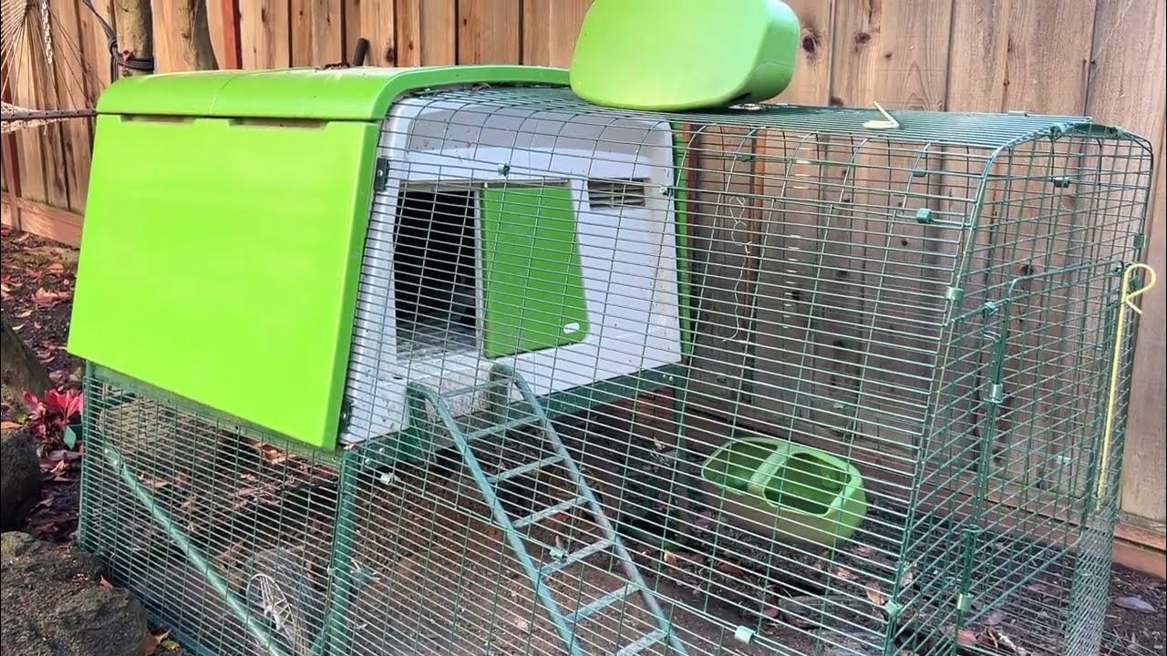 Omlet Eglu Cube Chicken Coop Review After 1 Year of Use YouTube