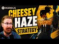The Cheesiest Haze Strategy Possible