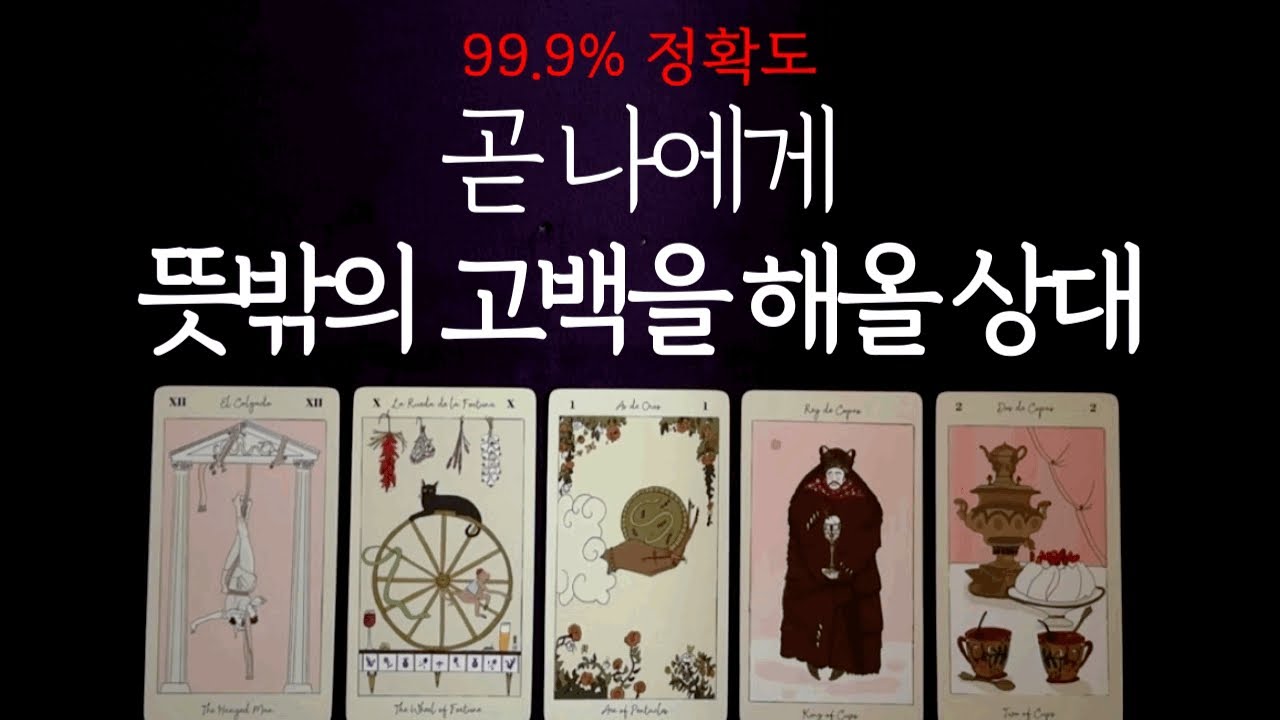 [타로 연애운] 곧 나에게 뜻밖의 고백을 하게 될 상대🌹✨