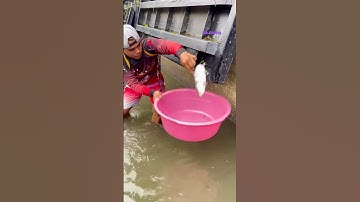 Cá Lớn - bắt Cá Khủng mắc kẹt 😱 #khacthuyvlogg