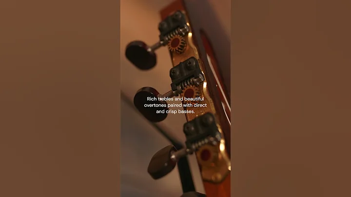 MASSIVE Sounding Guitar | 2009 Zbigniew Gnatek | L...