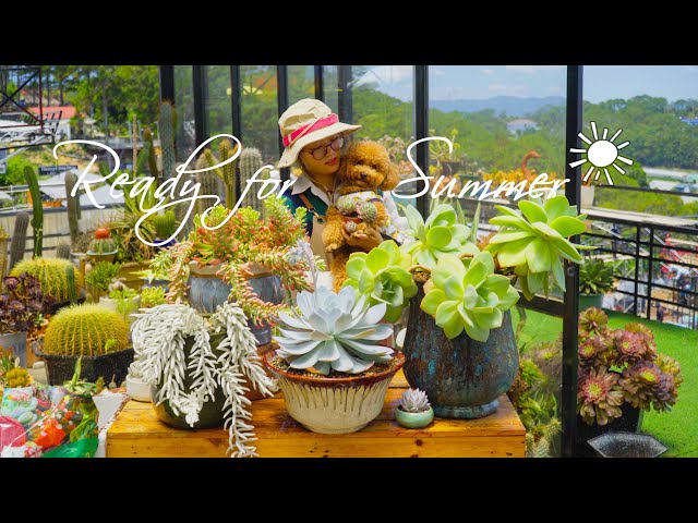 TAKE CARE OF MY OLD SUCCULENTS, READY FOR SUMMER // Joy Garden Succulent class=