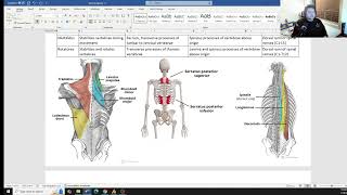 Nbce Part 1 Board Review General Anatomy Back  4