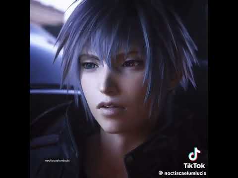 Credits To Noctiscaelumlucis On TikTok