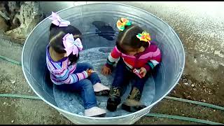 VID 20180218 WA0053