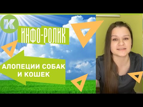 Алопеции собак и кошек, как лечить? Причины?