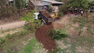 Starting a New Project !! Small Dozer Clearing Land And Tree With 5t Truck Pour Soil Size 5m x 25m by Excavator Truck 11,376 views 9 days ago 2 hours, 1 minute