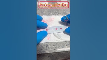 Hematoxylin & Eosin Staining ll H & E ll #mlt #histopathology #PATHOGENESIS