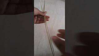 தரப பல பவதரம- Dharpai Pul Pavithram