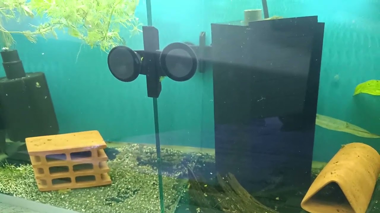 Evde Vatoz Üretimi (Part 1) | Xellence Aqua