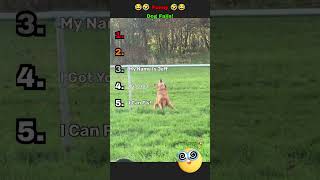 Funny DOG fails😂🤣| #funnyshort #short_feed #memes
