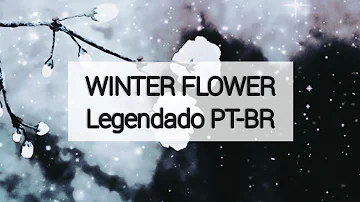 Winter Flower - Younha (Feat. RM) Legendado PT-BR