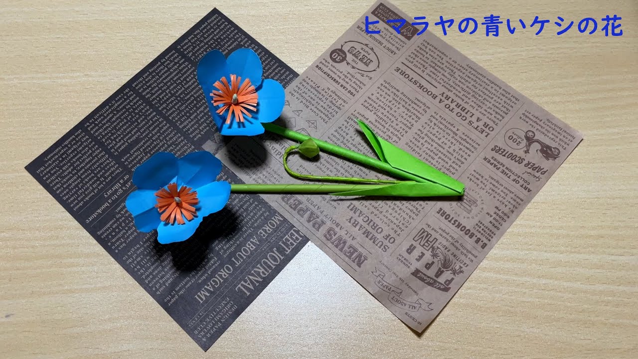 Sacchin sanのやさしい折り紙、ヒマラヤの青いケシの花を折り紙で折り