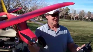 $90 used reverse dihedral wings Fun Cub maiden