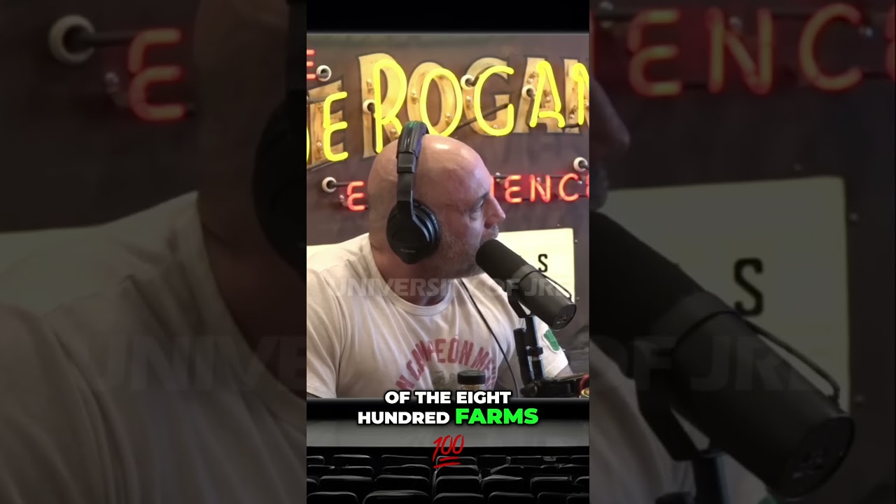 China Invades America 😱🤯