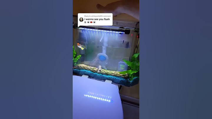 How to flush a toilet FISH tank #shorts