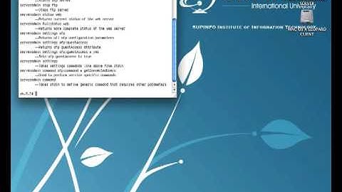 Start your VPN in command line interface
