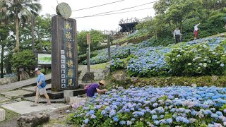 ❤️❤️宜蘭頭城縣界公園繡球花🍑烏石港捕魚船漁港區大坑自行車道園區🍑九彎十八拐頭城蘭陽北部濱海公路🍑宜蘭景點天賜之音今生我最愛你❤️❤️