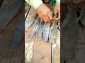 #fish #fishingvideo #fishingvideo #fishing #shortvideo #RiverFish#nayyabfish