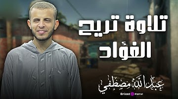 لحظات لا تُنسى من الخشوع والجمال في صوت الشيخ عبدالله مصطفى وهو يتلو آيات تهز القلب ✨