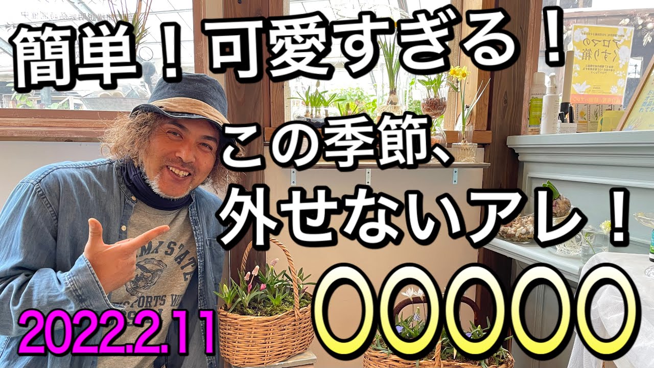 【寄せ植え】暮らしをもっとオシャレに！！この季節ならではのラブリーなムスカリで遊ぼう♪